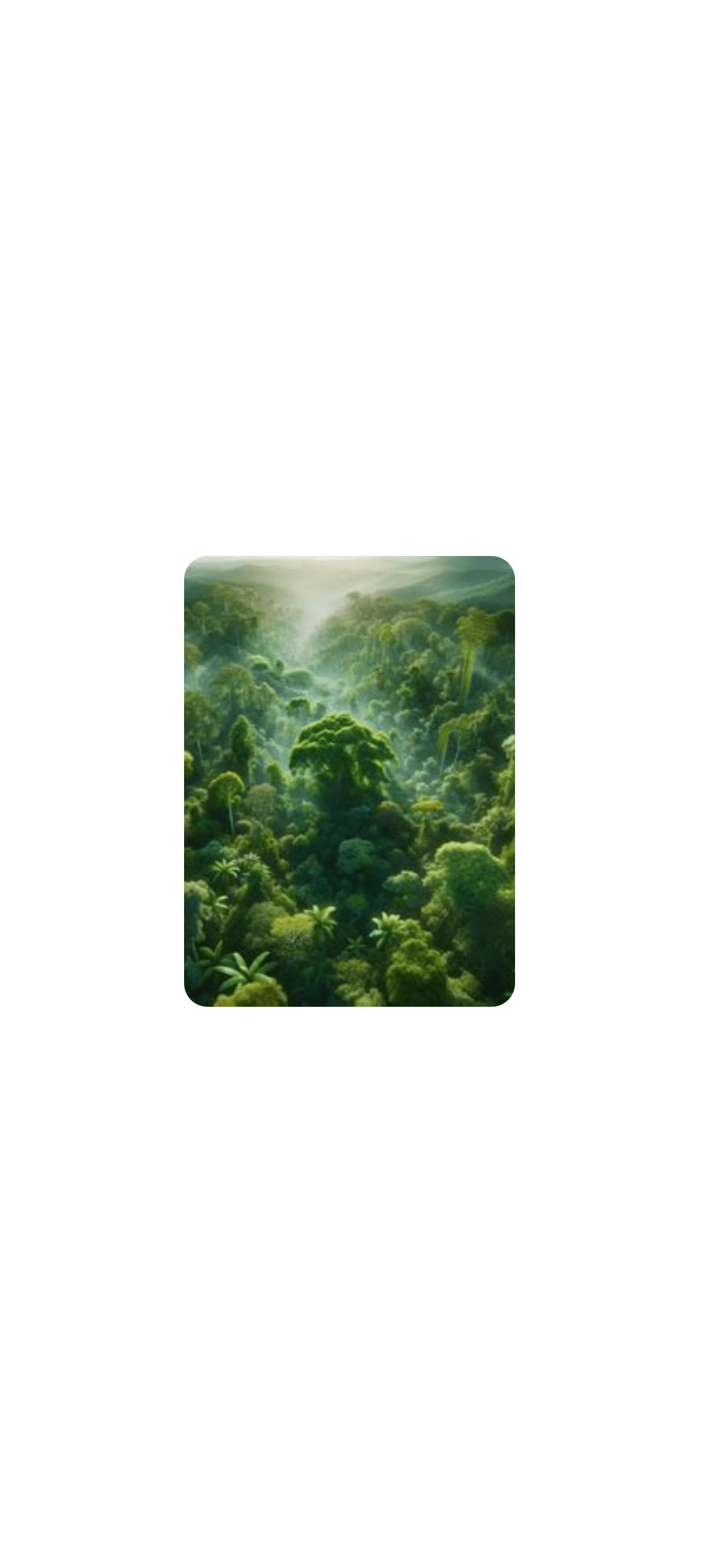 Amazon Rainforest Conservation