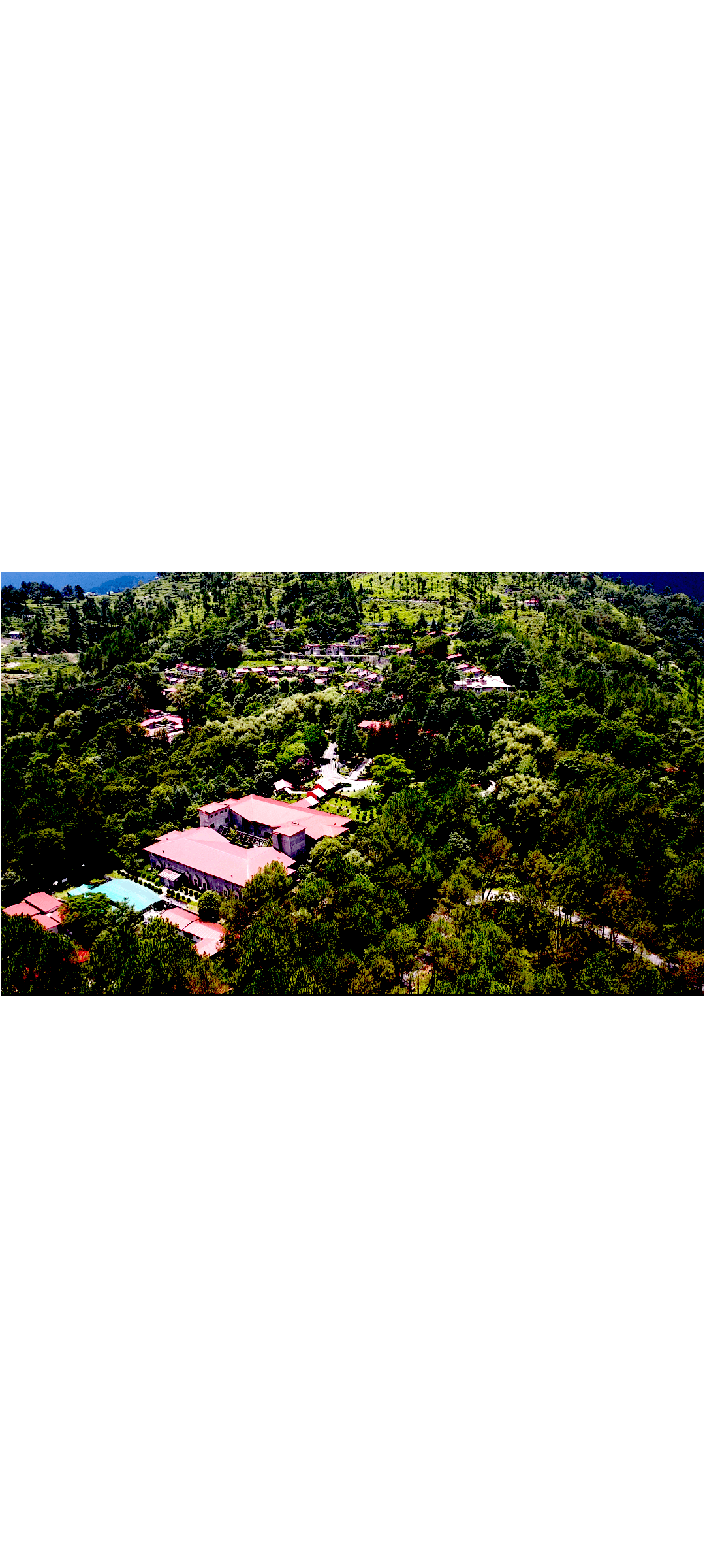 Himalayan High-Altitude Reforestation